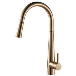 Kitchen FUSION Hot And Cold Kitchen Faucet - MFK0001G