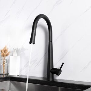 Kitchen FUSION Hot And Cold Kitchen Faucet - MFK0001B