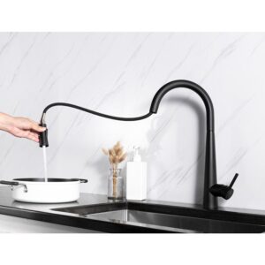 Kitchen FUSION Hot And Cold Kitchen Faucet - MFK0001B