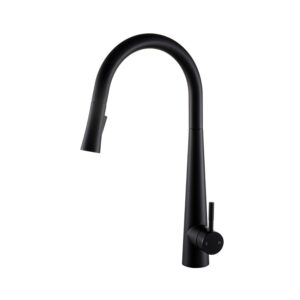 Kitchen FUSION Hot And Cold Kitchen Faucet - MFK0001B